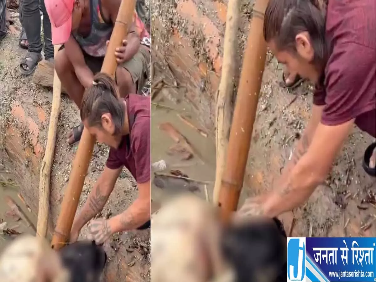 जलप्रलय के बीच अमानवीय हरकत का वीडियो सोशल मीडिया पर वायरल जलप्रलय के बीच अमानवीय हरकत का वीडियो सोशल मीडिया पर वायरल