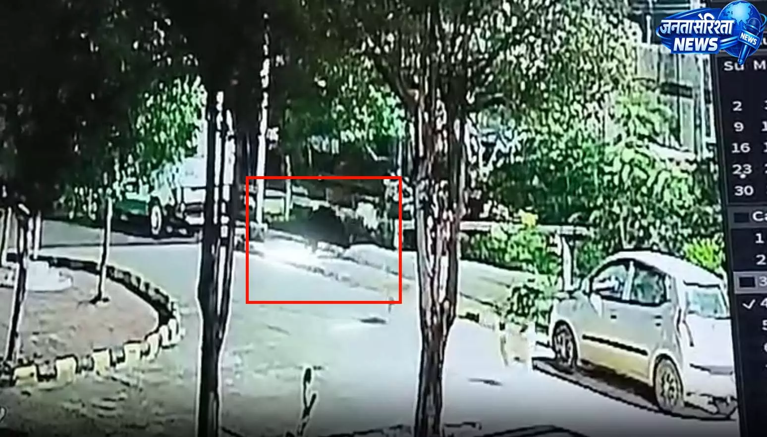 जिला अस्पताल में रात 1 बजे घुसा भालू, वीडियो वायरल जिला अस्पताल में रात 1 बजे घुसा भालू, वीडियो वायरल