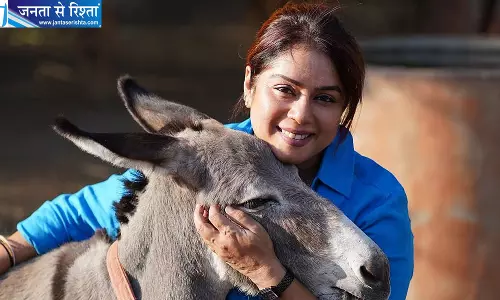सड़क किनारे मिले घायल कुत्ते ने बदल दी जिंदगी, शरण्या शेट्टी ने शुरू की पशु सेवा की अनोखी यात्रा