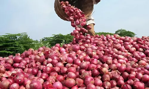 सरकार के प्याज स्टॉक जारी करने के फैसले का असर सरकार के प्याज स्टॉक जारी करने के फैसले का असर