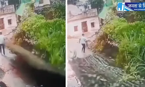 दतिया में बाल-बाल बची जान, युवक के गुजरते ही भरभराकर गिरी जर्जर दीवार; वीडियो वायरल