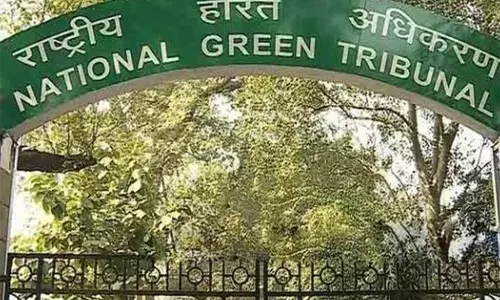हरियाणा स्टोन क्रशरों से 5.39 करोड़ पर्यावरण मुआवजे पर NGT सख्त