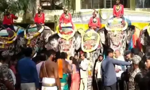 मैसूर दशहरा 2026 का आगाज हाथी दल के भव्य स्वागत से मैसूर दशहरा 2026 का आगाज हाथी दल के भव्य स्वागत से