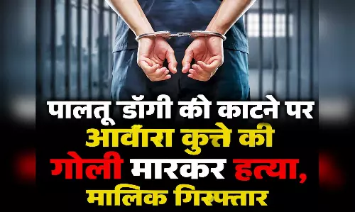 पालतू डॉगी को काटने पर आवारा कुत्ते की गोली मारकर हत्या, मालिक गिरफ्तार