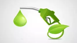 E20 पेट्रोल को E10 से बदलने का कोई कदम नहीं: BPCL प्रमुख E20 पेट्रोल को E10 से बदलने का कोई कदम नहीं: BPCL प्रमुख