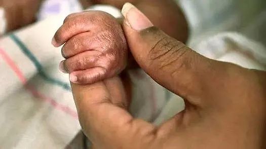 रीवा के सरकारी अस्पताल में डिलीवरी के बाद महिला और नवजात की मौत रीवा के सरकारी अस्पताल में डिलीवरी के बाद महिला और नवजात की मौत