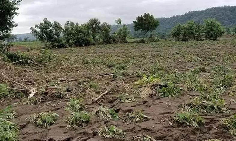 Telangana: बाढ़ मुआवज़ा फ़ंड पर रोक के ख़िलाफ़ किसानों का विरोध Telangana: बाढ़ मुआवज़ा फ़ंड पर रोक के ख़िलाफ़ किसानों का विरोध