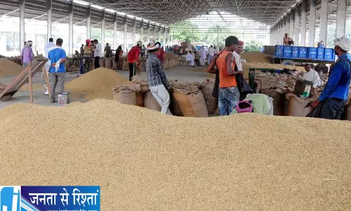 Karnal के किसानों को 1509 बासमती से बड़ा फायदा