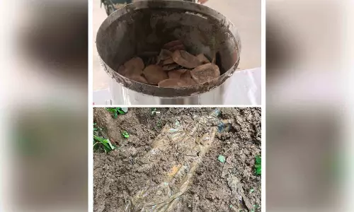 जंगल से नक्सल सामग्री और पैंगोलिन की छाल बरामद, सुरक्षाबलों की कार्रवाई