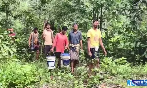 आदिवासी समुदायों के लिए लाल चींटियाँ बनीं आय का ज़रिया आदिवासी समुदायों के लिए लाल चींटियाँ बनीं आय का ज़रिया