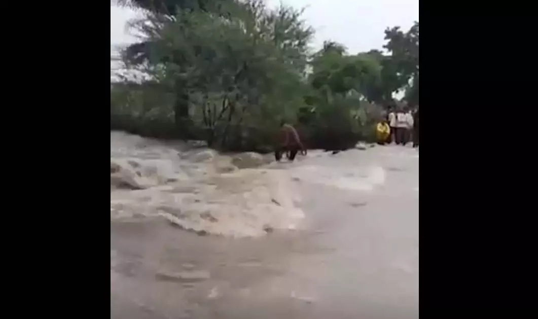 जान का जोखिम उठाया, उफनती पुलिया पार करते समय नदी में बहा युवक बाल-बाल बचा जान का जोखिम उठाया, उफनती पुलिया पार करते समय नदी में बहा युवक बाल-बाल बचा