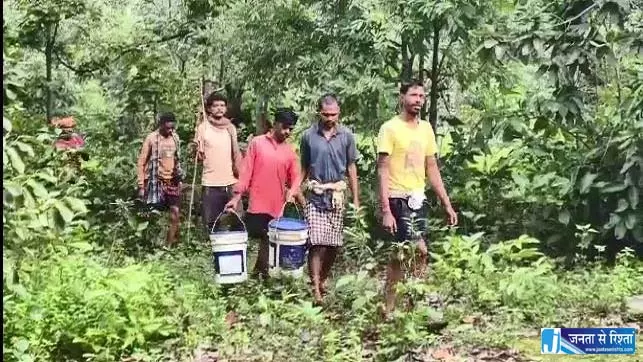 आदिवासी समुदायों के लिए लाल चींटियाँ बनीं आय का ज़रिया आदिवासी समुदायों के लिए लाल चींटियाँ बनीं आय का ज़रिया