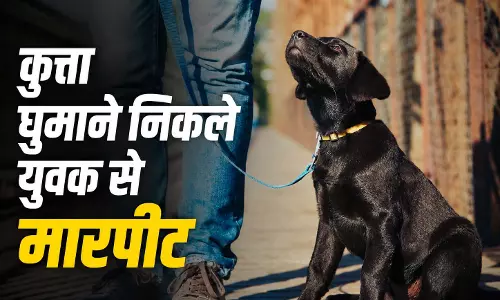 रायपुर में कुत्ता घुमाने निकले युवक से मारपीट, FIR दर्ज