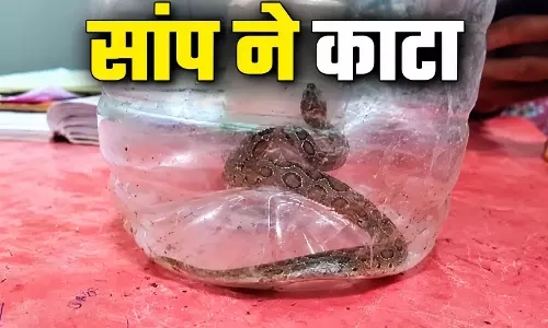 जिंदगी बचाने की जिद या जोखिम भरा कदम, सांप के साथ अस्पताल पहुंचा युवक जिंदगी बचाने की जिद या जोखिम भरा कदम, सांप के साथ अस्पताल पहुंचा युवक