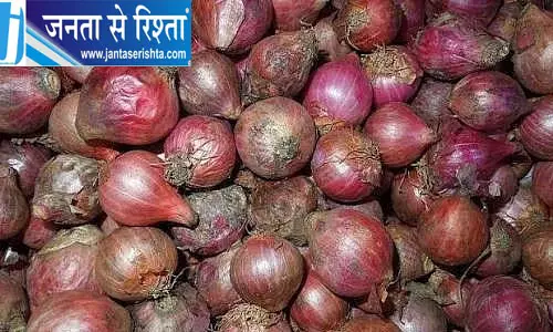 लासलगांव में सड़ने लगा सरकारी प्याज का स्टॉक, बफर स्टॉक मैनेजमेंट पर उठे सवाल