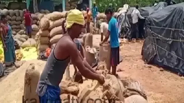 ओडिशा के किसानों को बड़ी राहत, धान पंजीयन की तारीख 7 दिन बढ़ी