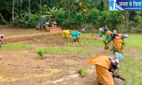 आदिवासी महिलाओं ने संभाली धान रोपाई