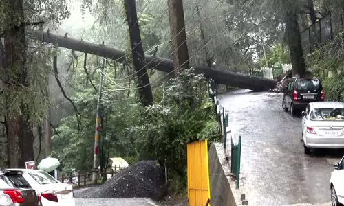 हिमाचल में मानसून का कहर 61 दिनों में 250 मौतें 64 सड़कें बंद हिमाचल में मानसून का कहर 61 दिनों में 250 मौतें 64 सड़कें बंद