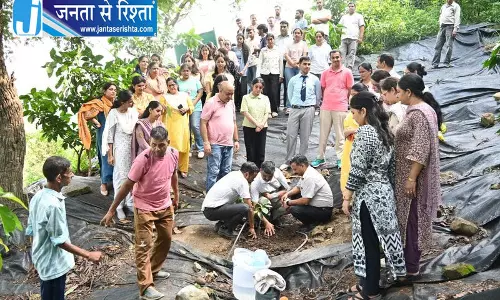 नेरी हॉर्टिकल्चर कॉलेज में वन महोत्सव के साथ स्थापना दिवस नेरी हॉर्टिकल्चर कॉलेज में वन महोत्सव के साथ स्थापना दिवस