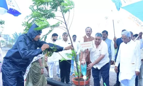 ‘एक पेड़ माँ के नाम’ से पर्यावरण संरक्षण का संदेश, मंत्री ने किया वृक्षारोपण