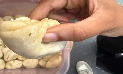 मोमोज में रेंगते मिले कीड़े, उड़ गए ग्राहक के होश, सख्त कार्रवाई की मांग मोमोज में रेंगते मिले कीड़े, उड़ गए ग्राहक के होश, सख्त कार्रवाई की मांग