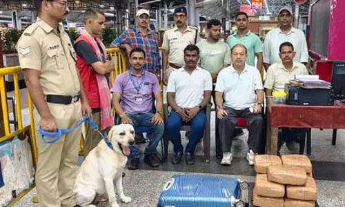 RPF की बड़ी कार्यवाही: स्निफर डॉग ‘मार्को’ ने खोला राज; 22.64 किलो गांजा जब्त