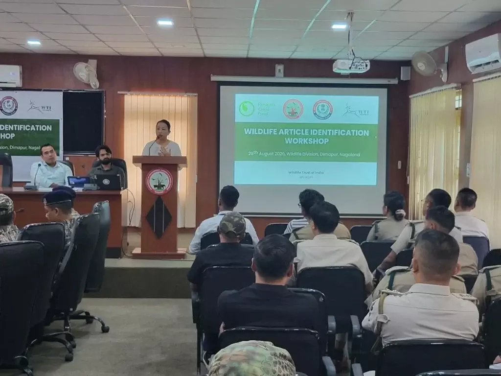 Nagaland: दीमापुर में वन्यजीवों पर कार्यशाला Nagaland: दीमापुर में वन्यजीवों पर कार्यशाला