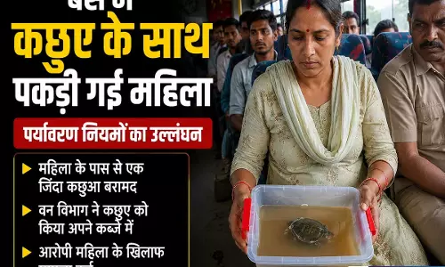 धर्मशाला जा रही महिला के पास मिला कछुआ पुलिस ने दबोचा धर्मशाला जा रही महिला के पास मिला कछुआ पुलिस ने दबोचा