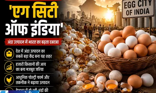 भारत के इस शहर के अंडों की विदेशों में जबरदस्त मांग भारत के इस शहर के अंडों की विदेशों में जबरदस्त मांग