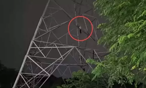 हाई वोल्टेज ड्रामा, टावर पर चढ़ा युवक समझाइश से नीचे उतरा हाई वोल्टेज ड्रामा, टावर पर चढ़ा युवक समझाइश से नीचे उतरा
