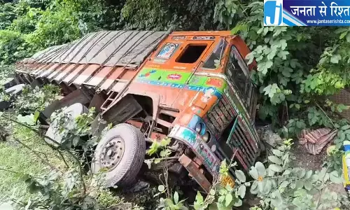 खाई में पलटा मछली लदा ट्रक बड़ा हादसा टला