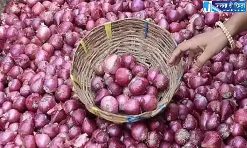 Andhra: प्याज की बढ़ती कीमतों से खुशी, तो टमाटर की बंपर आवक से परेशानी Andhra: प्याज की बढ़ती कीमतों से खुशी, तो टमाटर की बंपर आवक से परेशानी