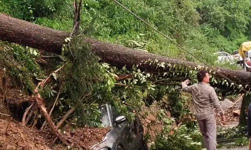 Himachal: 3 सितंबर तक येलो अलर्ट; 64 सड़कें अभी भी बंद Himachal: 3 सितंबर तक येलो अलर्ट; 64 सड़कें अभी भी बंद