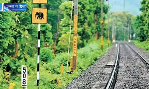 रेलवे ट्रैक पर दर्दनाक हादसा महिला और दो बच्चियों की मौत रेलवे ट्रैक पर दर्दनाक हादसा महिला और दो बच्चियों की मौत