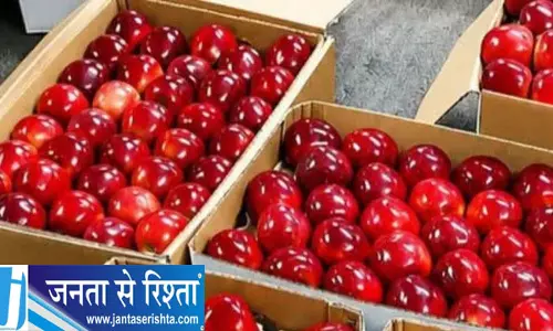 अदाणी के सेब रेट से बागवानों की चिंता बढ़ी अदाणी के सेब रेट से बागवानों की चिंता बढ़ी