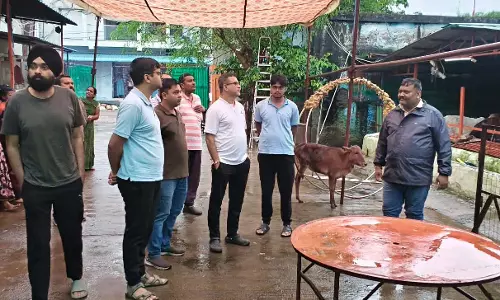 आयुक्त संबित मिश्रा ने फुण्डहर और गोकूल नगर गोधाम की व्यवस्था का किया प्रत्यक्ष निरीक्षण