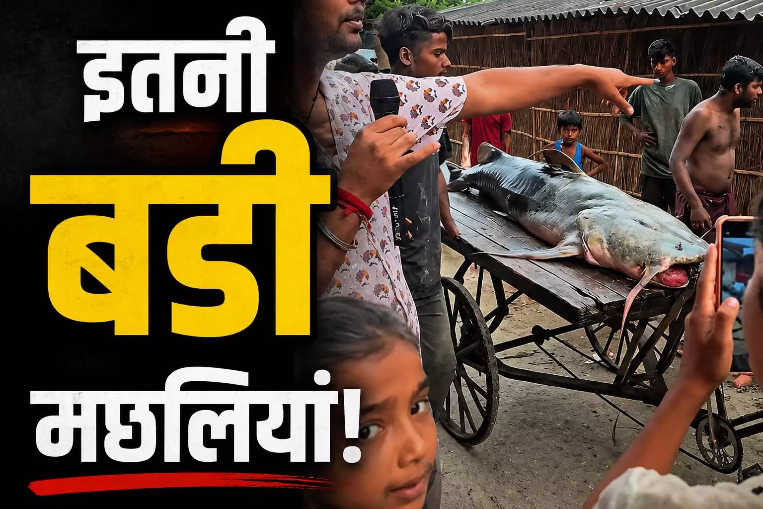 नेपाल से बहकर भारत आई बड़ी-बड़ी मछलियां, 100 KG वाली मछली की झलक देखने उमड़ी भीड़ नेपाल से बहकर भारत आई बड़ी-बड़ी मछलियां, 100 KG वाली मछली की झलक देखने उमड़ी भीड़