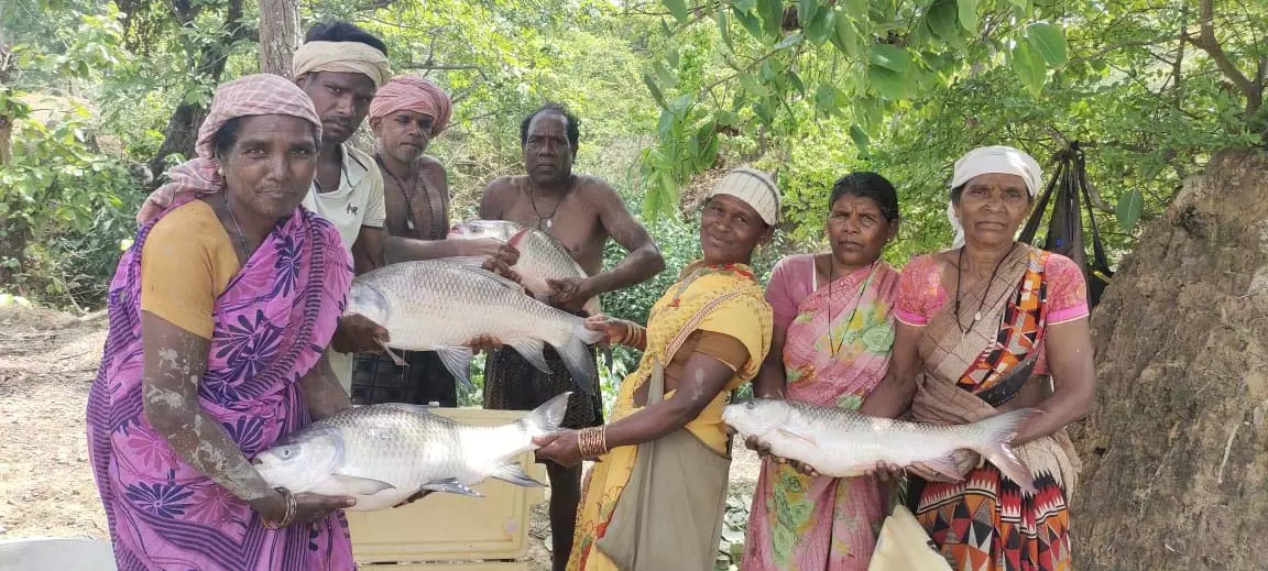 विष्णु भैया की पहल से तालाब बना महिलाओं की तरक्की का आधार विष्णु भैया की पहल से तालाब बना महिलाओं की तरक्की का आधार