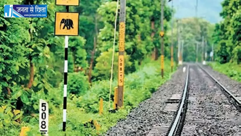 रेलवे ट्रैक पर दर्दनाक हादसा महिला और दो बच्चियों की मौत रेलवे ट्रैक पर दर्दनाक हादसा महिला और दो बच्चियों की मौत