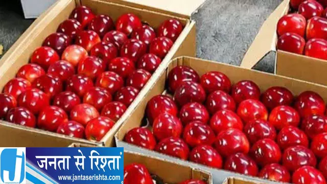 अदाणी के सेब रेट से बागवानों की चिंता बढ़ी अदाणी के सेब रेट से बागवानों की चिंता बढ़ी