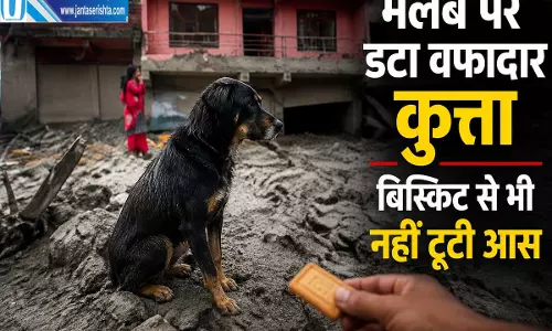 घर बह गया मालिक का पता नहीं फिर भी उसी जगह डटा रहा वफादार कुत्ता घर बह गया मालिक का पता नहीं फिर भी उसी जगह डटा रहा वफादार कुत्ता
