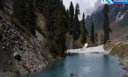ट्राउट मछली पर संकट सिंध नदी के पानी को लेकर रिपोर्ट में बड़ा खुलासा ट्राउट मछली पर संकट सिंध नदी के पानी को लेकर रिपोर्ट में बड़ा खुलासा