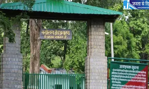 जिम कॉर्बेट नेशनल पार्क में बदला सफारी का समय सुबह की पाली 15 मिनट आगे बढ़ी
