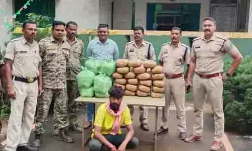गांजा तस्करों पर पुलिस का शिकंजा, 56 KG जब्त