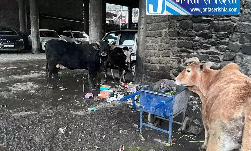 Manali में हाउस टैक्स बढ़ोतरी का विरोध