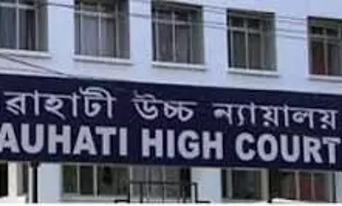 गुवाहाटी HC का निर्देश: असम के हाथियों को तमिलनाडु बसाने पर हो विचार