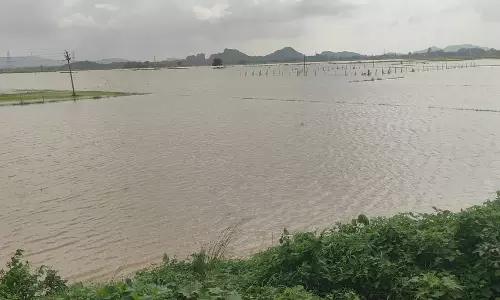 ओडिशा बाढ़ नियंत्रण में 62 गांव प्रभावित ओडिशा बाढ़ नियंत्रण में 62 गांव प्रभावित