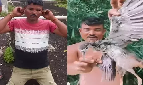 परिंदे को जिंदा निगलने और वीडियो शेयर करने का आरोपी गिरफ्तार