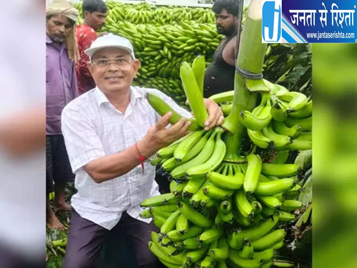 विदेशी केले की खेती से बदली किस्मत बाराबंकी किसान को मिला ज्यादा भाव विदेशी केले की खेती से बदली किस्मत बाराबंकी किसान को मिला ज्यादा भाव