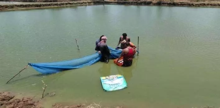 तालाब बना आत्मनिर्भरता का आधार तालाब बना आत्मनिर्भरता का आधार